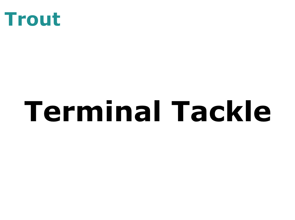 Trout Terminal Tackle