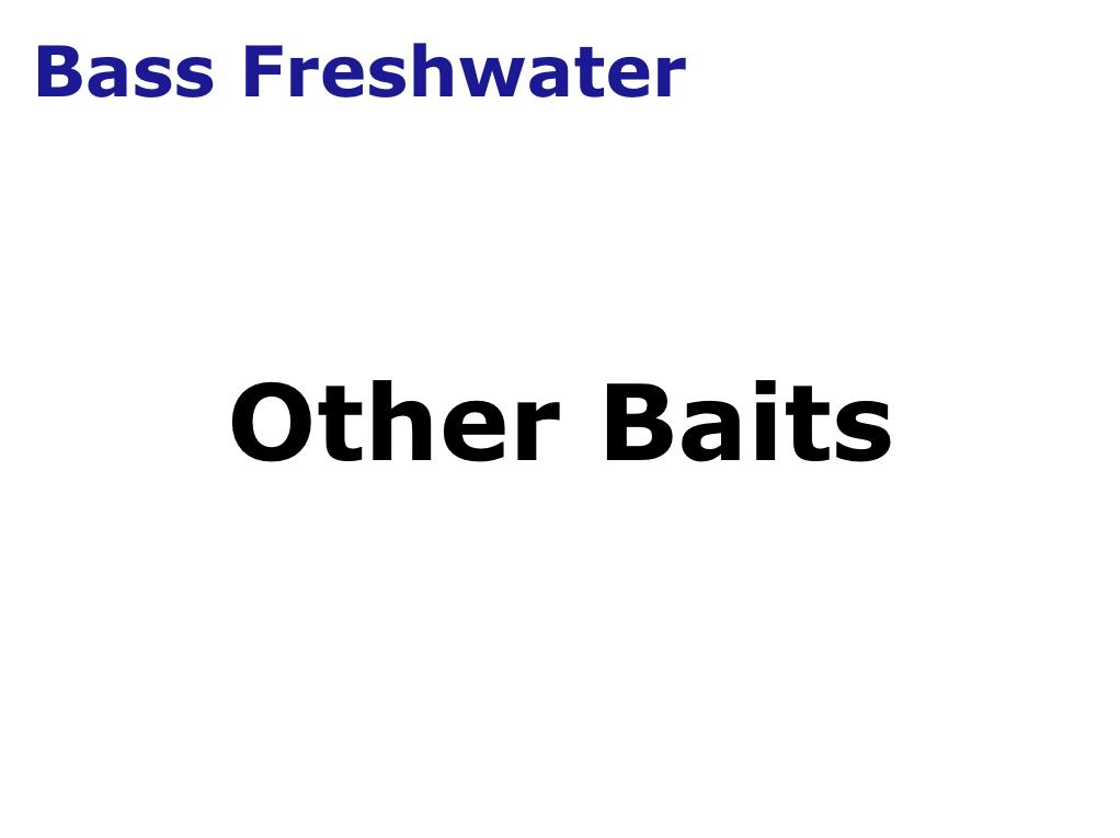 Bass Other Baits