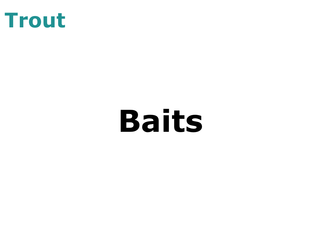 Trout Baits
