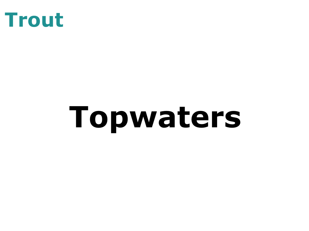 Trout Topwaters