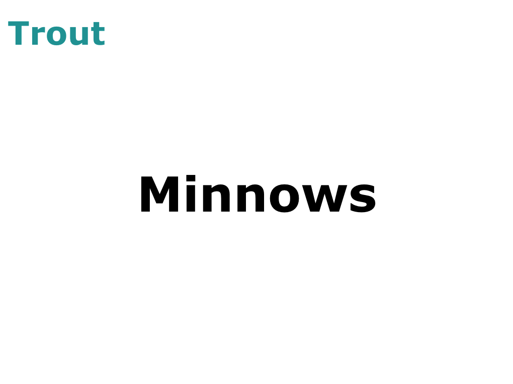 Trout Minnows
