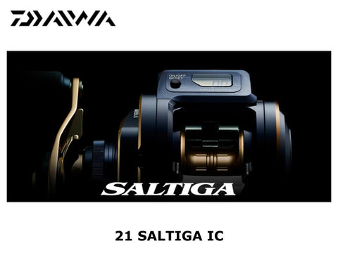 Saltiga IC