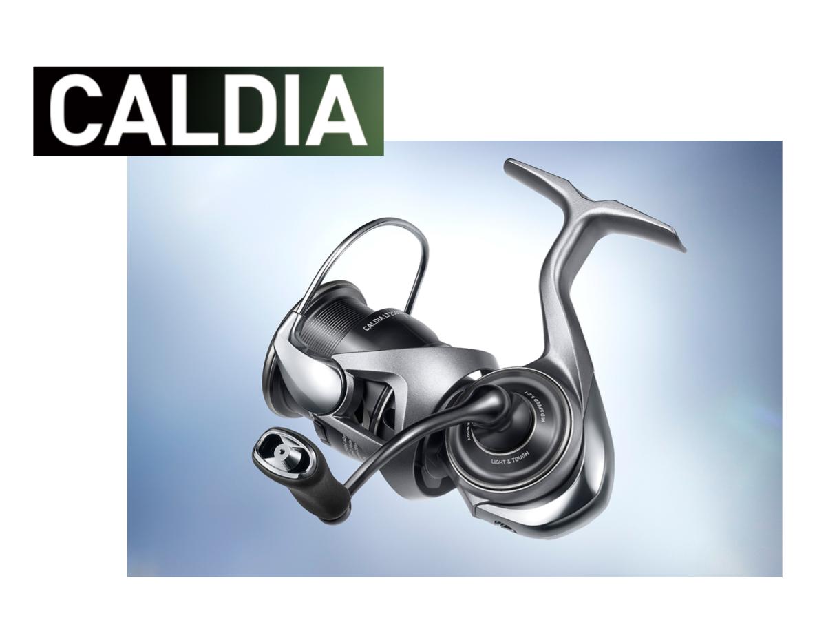 25 Caldia
