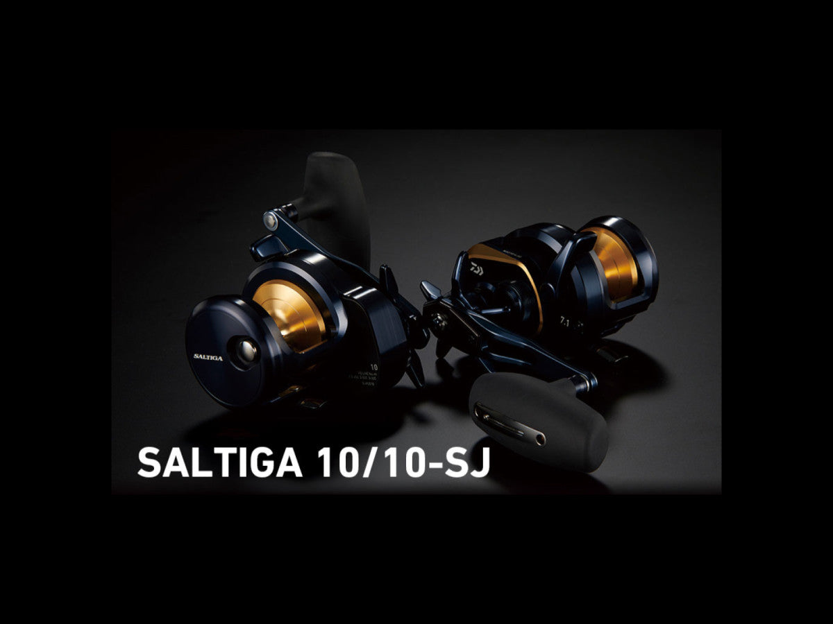 【超美品】25 SALTIGA 10 Daiwa 25 Saltiga 10/10SJ – JDM TACKLE HEAVEN