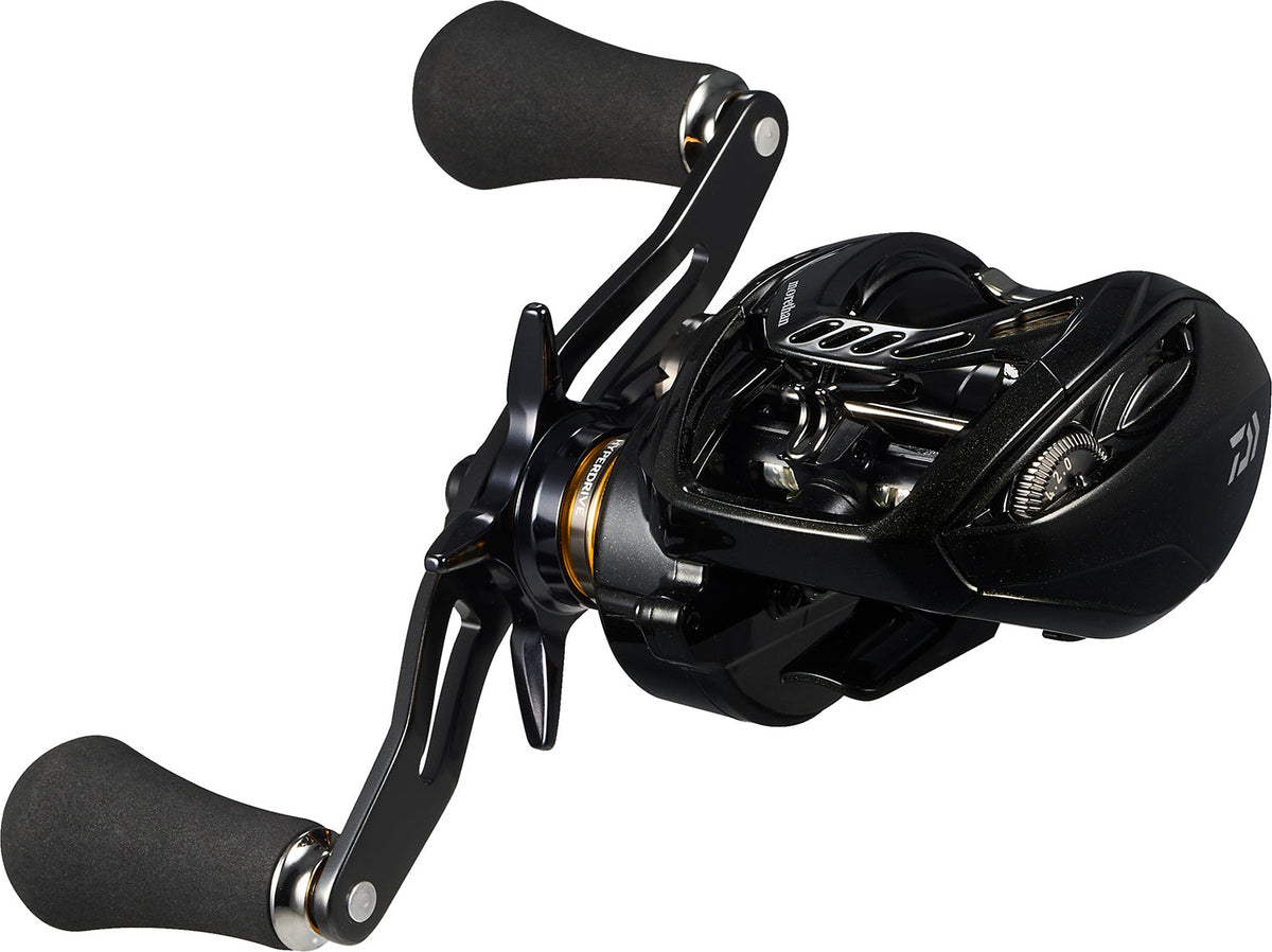 Daiwa Morethan TW PE Special