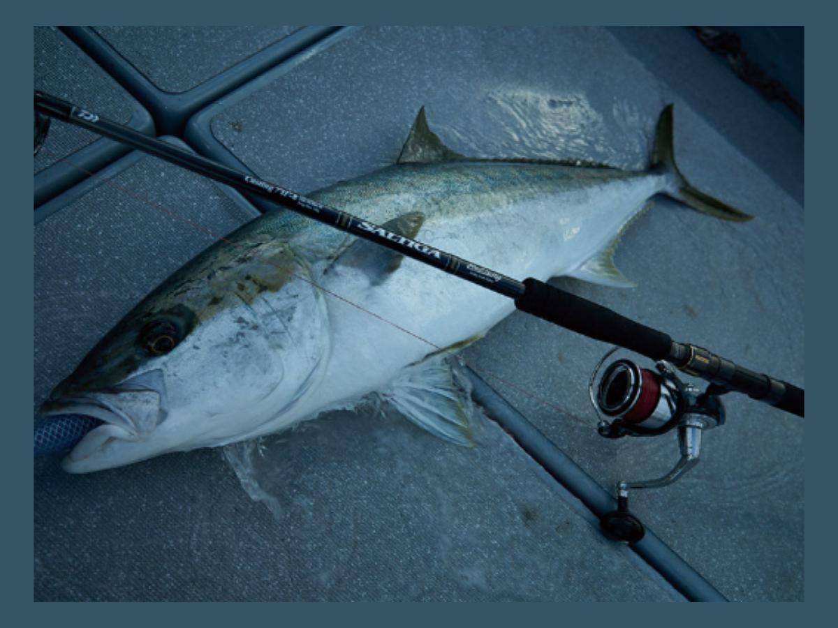 26 Saltiga C Bullswing