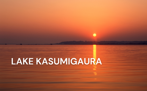 Catch of the week: Lake Kasumigaura