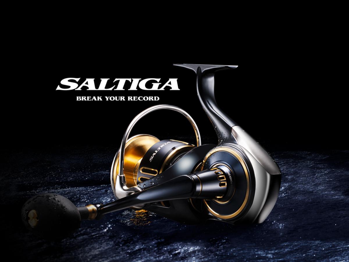 25 Saltiga