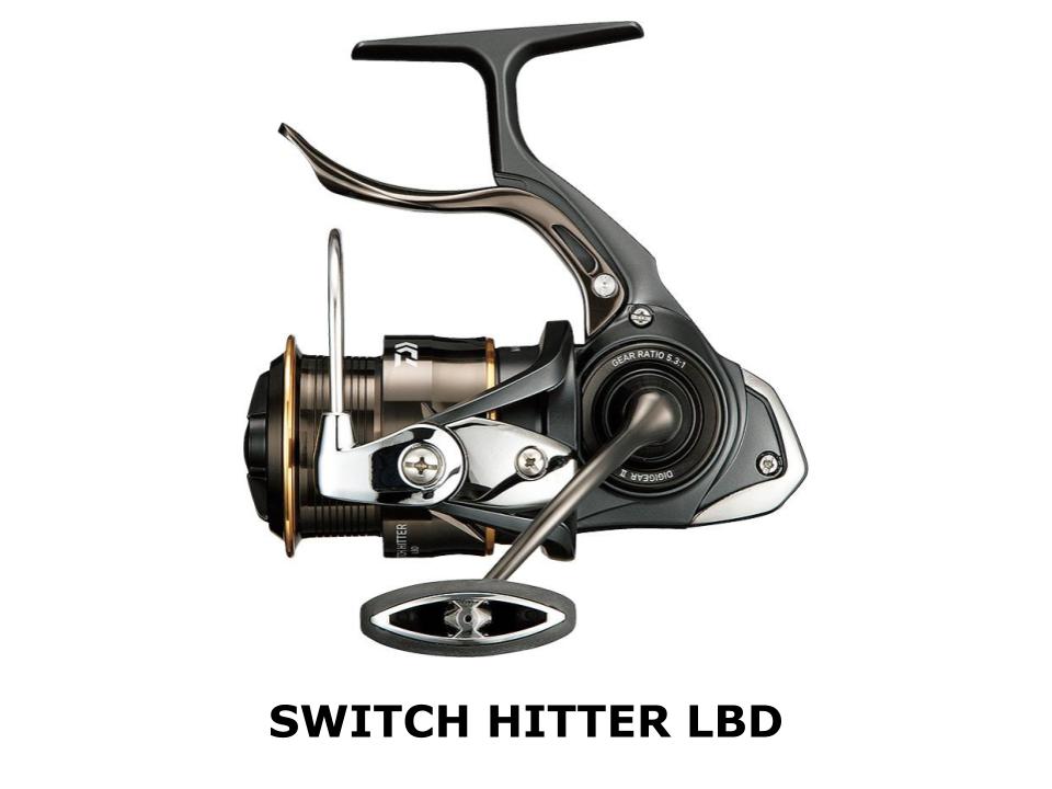 SWITCH HITTER LBD