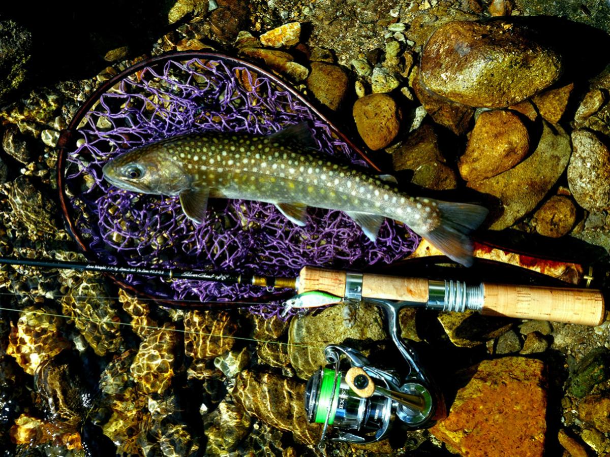 Silver Creek Trad – JDM TACKLE HEAVEN