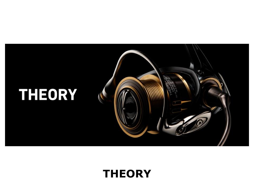 THEORY
