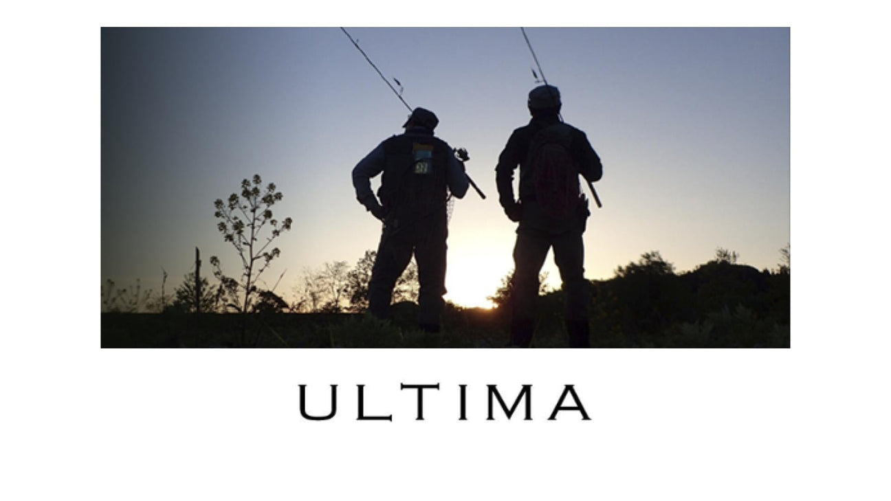 Forest Ultima