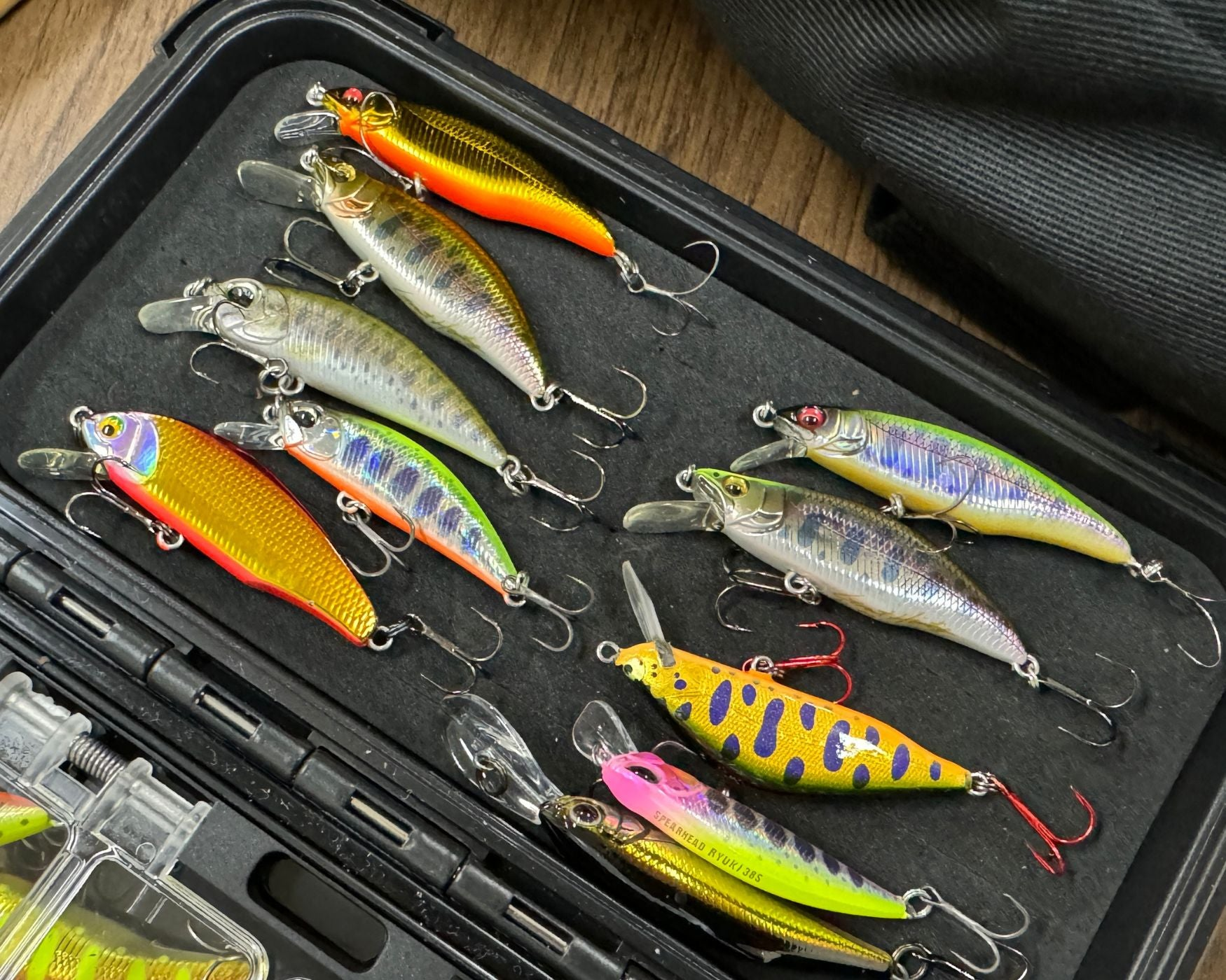 BASSKERVILLE クラムダンク CLAMDUNK