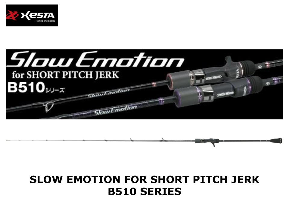 Xesta Slow Emotion For Short Pitch Jerk B510 Series