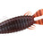 deps Bullslide 3.4 inch #28 Scuppernong