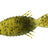 deps Bullflat 3.8 inch #52 Green Pumpkin Chartreuse