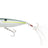 Evergreen Mode One's Bug #289 Queen Shad