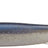 Evergreen Last Ace 86S #165 Escape Shad