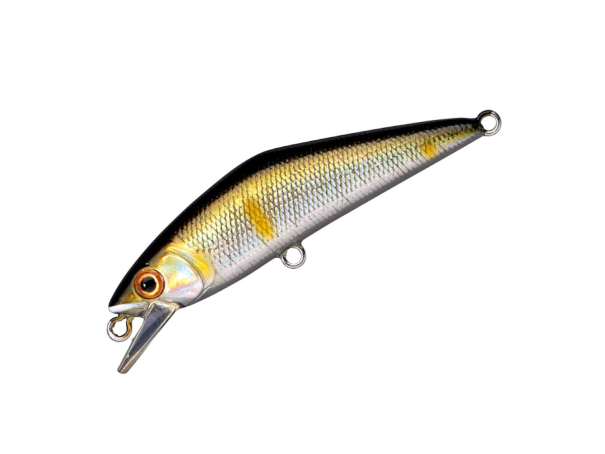 Smith D-Contact 50 #14 Ayu