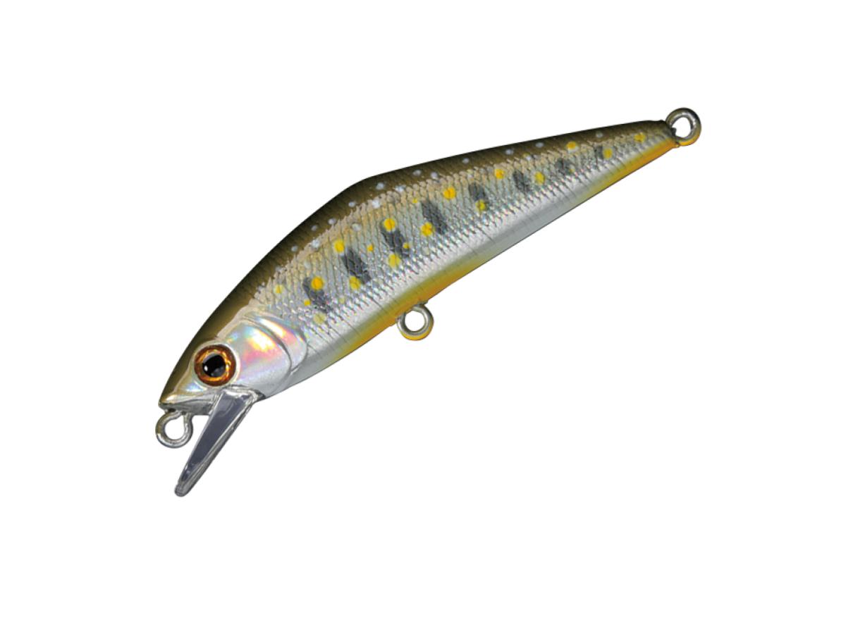 Smith D-Contact 50 #39 Iwana Laser