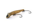 #CBR Clear Brown