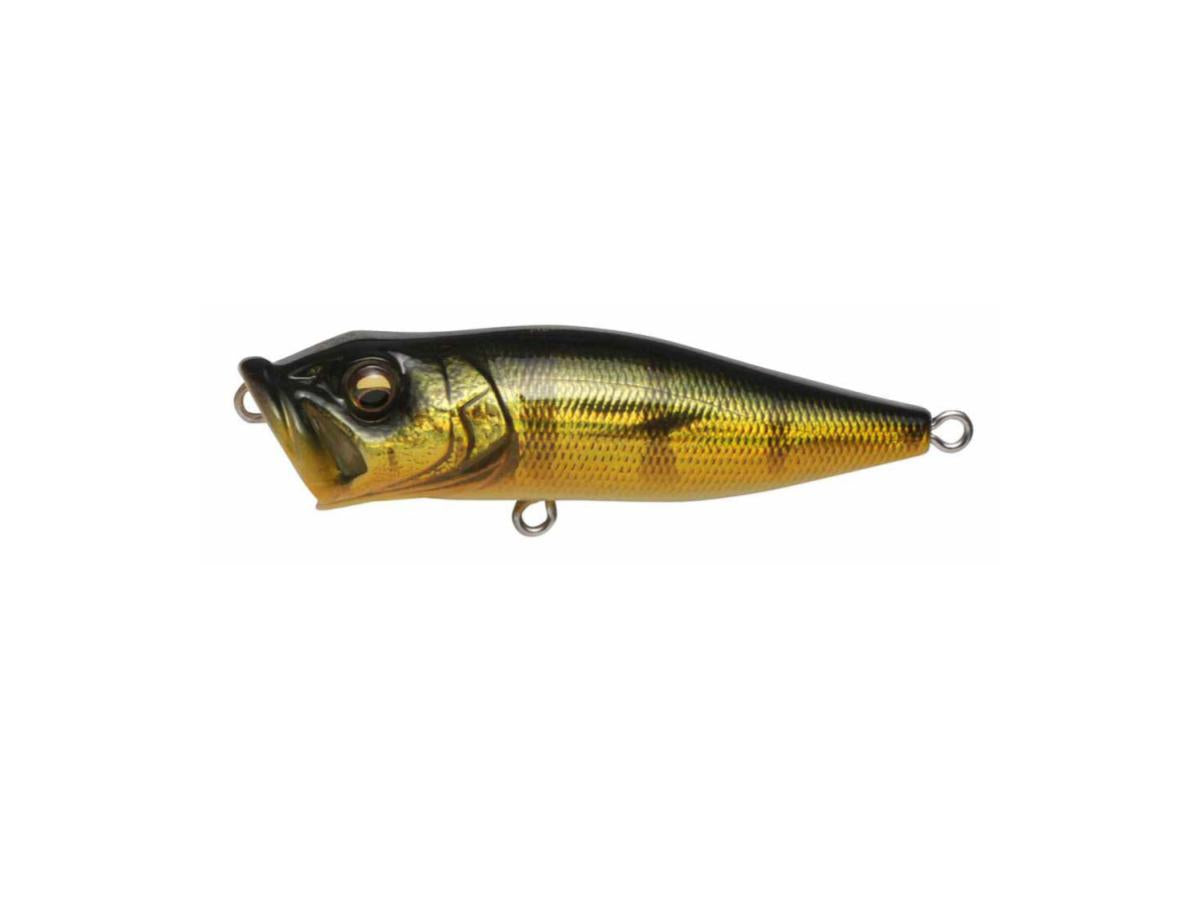 Megabass POP X #GG Peacock