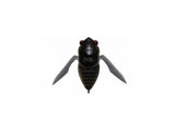 Megabass Grand Siglett 42.5mm 1/4oz. #FF Smoke