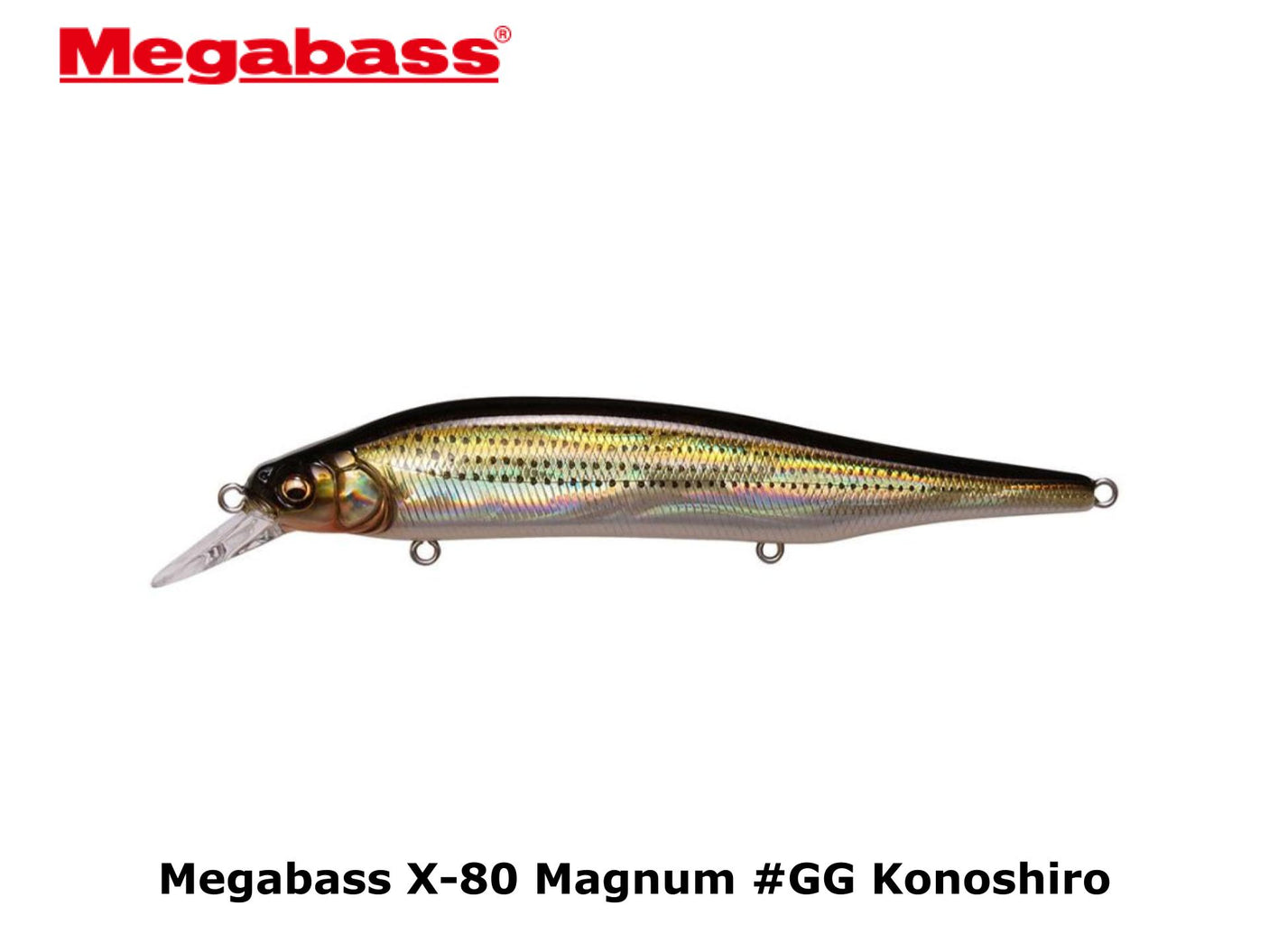 Megabass X-80 Magnum #GG Konoshiro