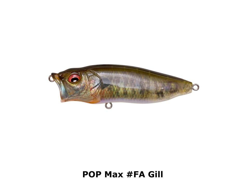 Megabass POP Max #FA Gill – JDM TACKLE HEAVEN