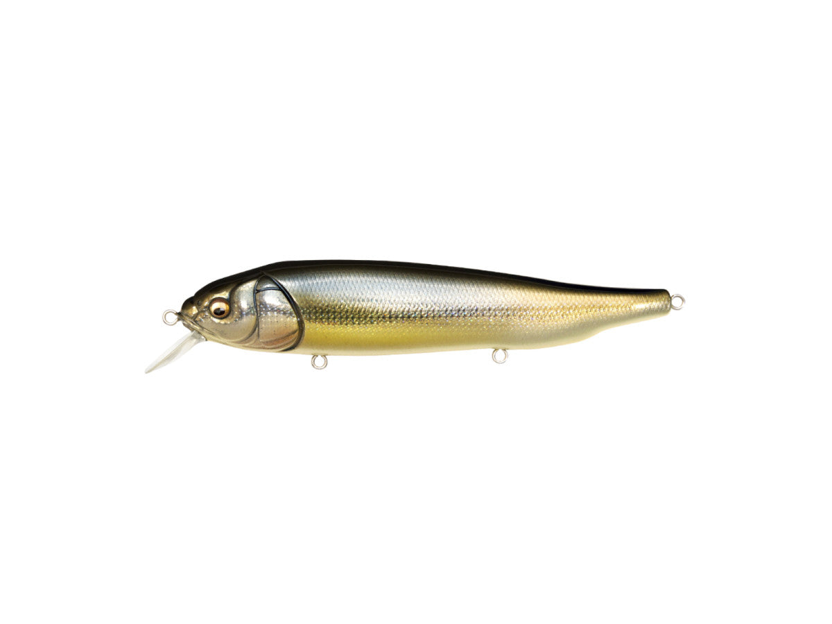 Megabass Lates Feeding Woofer #DD Silver Shad