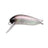 Tackle House elfin Mini Grasshopper F #1 Aurora Black