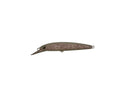 Jackall Slidon 60F
