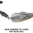 Blue Gill