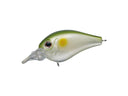 Evergreen Piccolo Dive Shallow