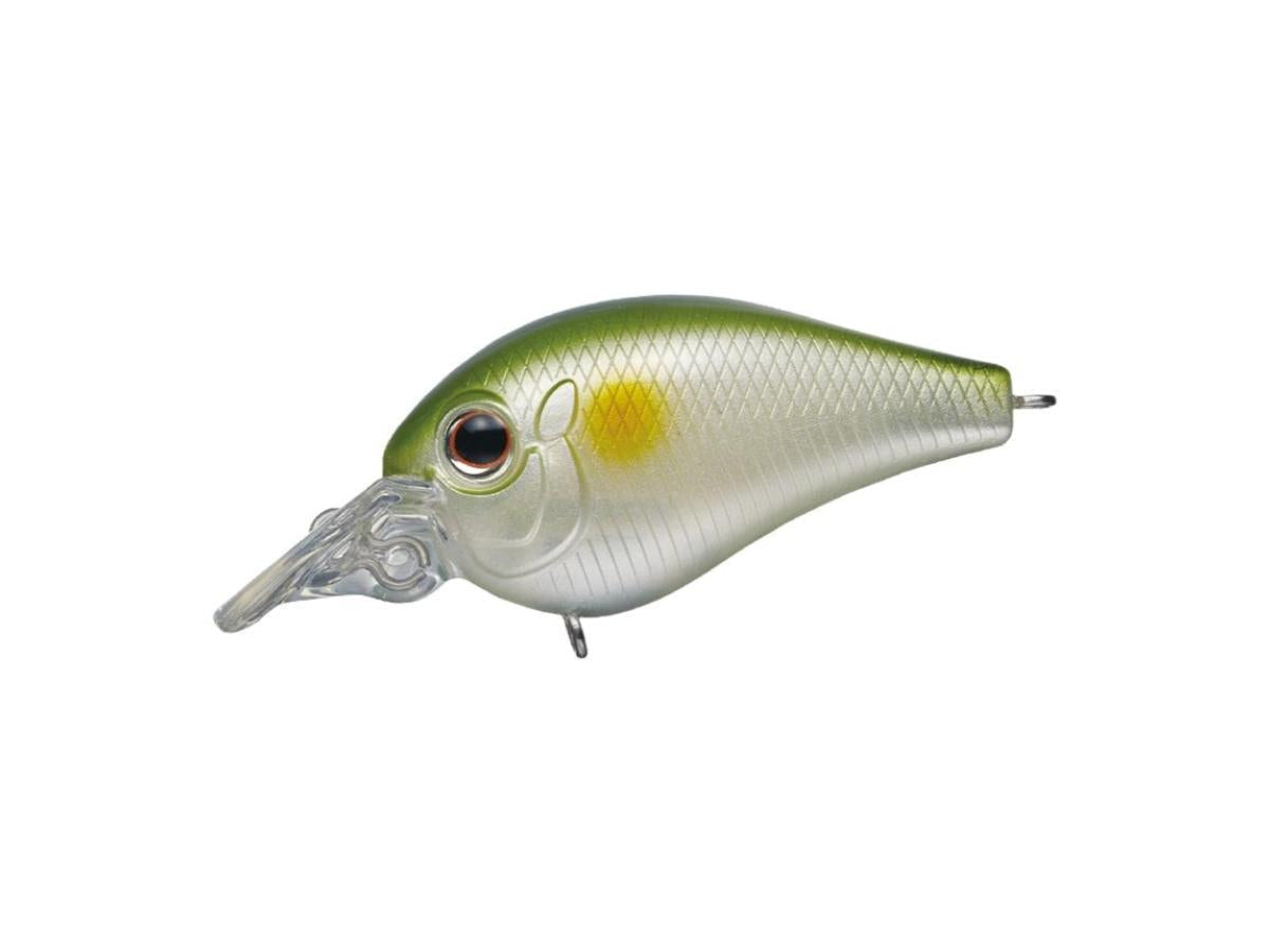 Evergreen Piccolo Dive Shallow