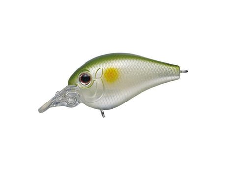 Evergreen Piccolo Dive Shallow