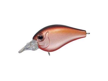 Evergreen Piccolo Dive Shallow