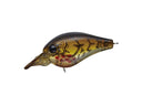 Evergreen Piccolo Dive Shallow