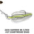 Chartreuse Shad