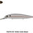 #362 Cold Shad