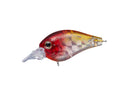Evergreen Piccolo Dive Shallow