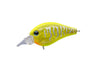 Evergreen Piccolo Dive Shallow