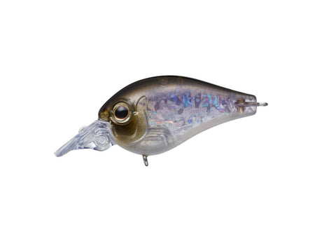 Evergreen Piccolo Dive Shallow