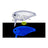 Evergreen Killer Bug 23 #02 Clear Lame UV