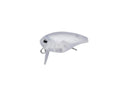 Evergreen Killer Bug 23 #04 Matte Clear
