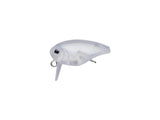 Evergreen Killer Bug 23 #04 Matte Clear
