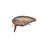 Evergreen Killer Bug 23 #06 Matte Clear Brown