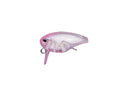 Evergreen Killer Bug 23 #07 Clear Pink