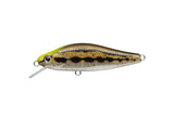 Evergreen Nelmezzo 50FS #33 Dojou