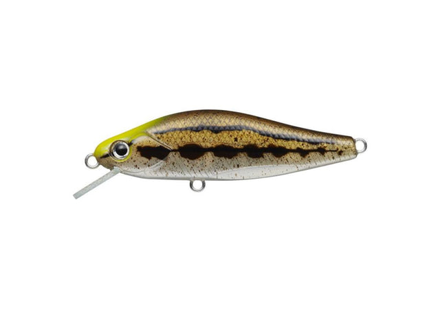 Evergreen Nelmezzo 50FS #33 Dojou
